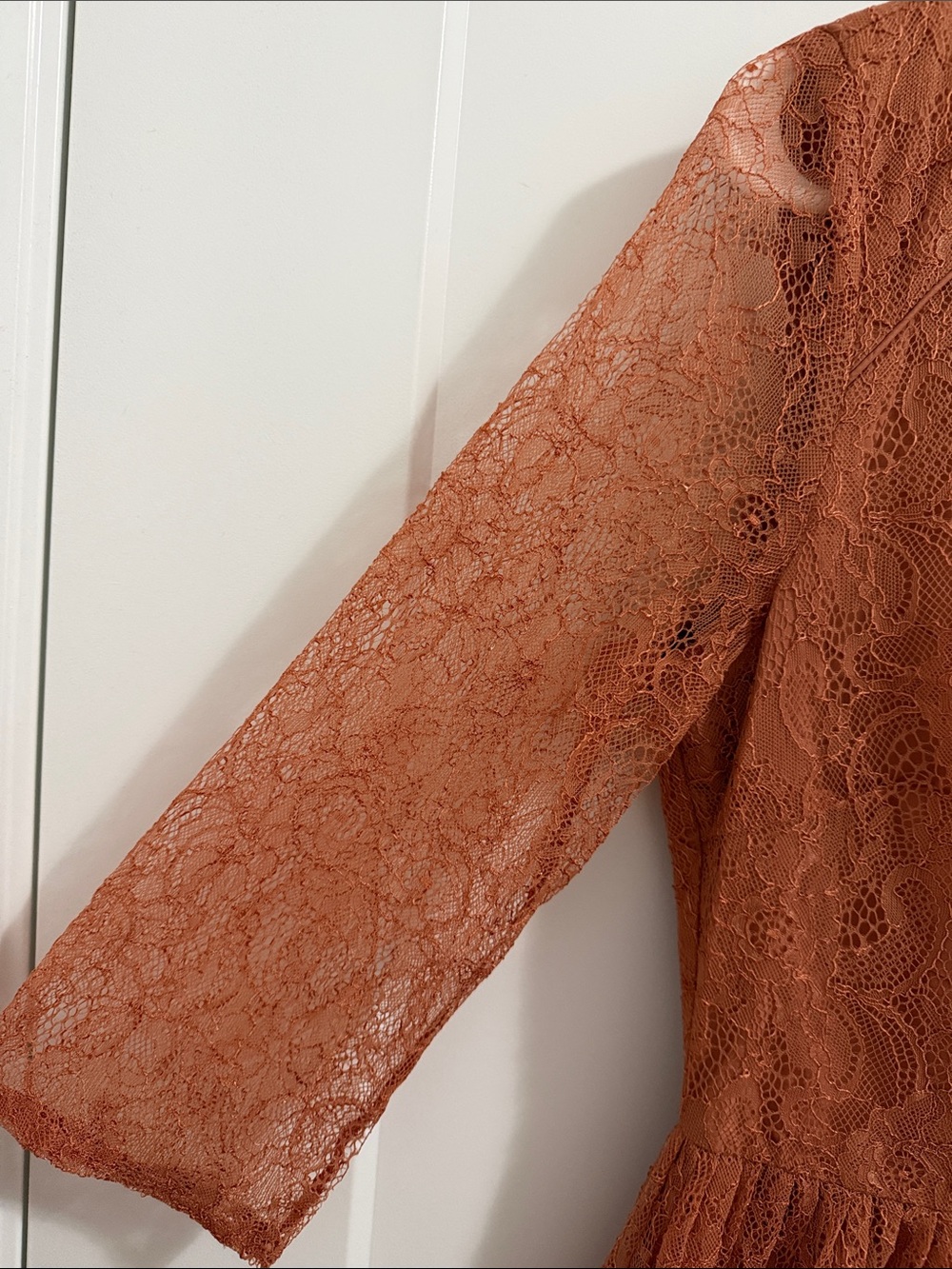 Forever 21 Women’s Rust Lace A-Line Dress - Picture 3 of 6